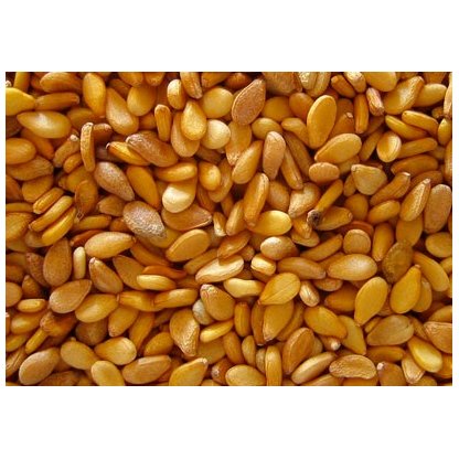 Aceite de sésamo orgánico