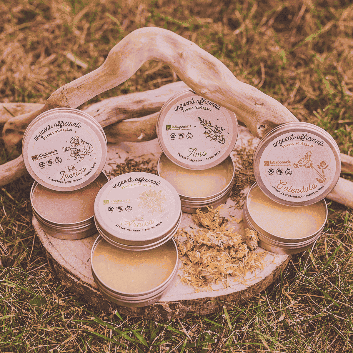 00 Unguenti Gruppo 1200x1200