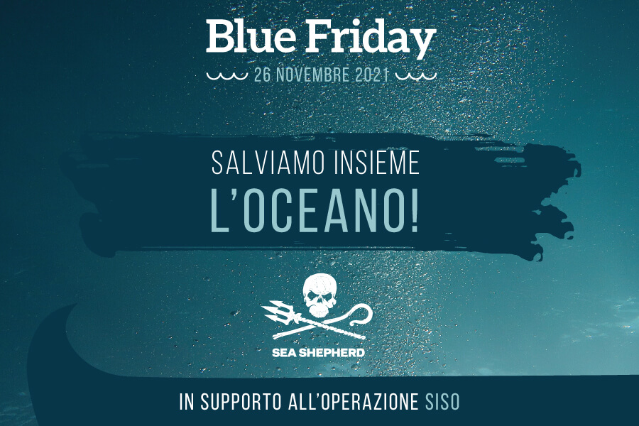 900x600 Sea Shepherd