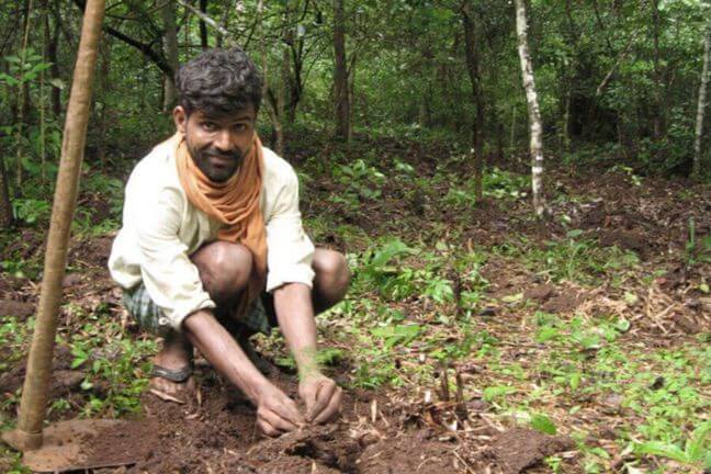 Cadena de suministro ética la saponaria 