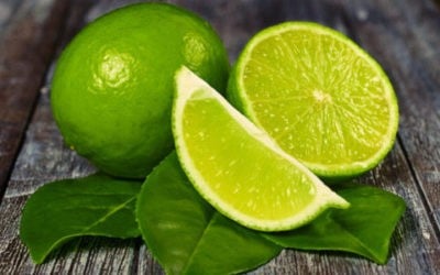 Lime 1 E1476777402253 400x250