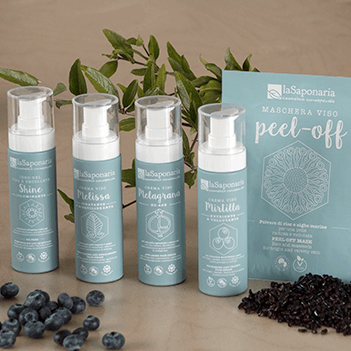 Linea Costituzionale Iconcina 400x400