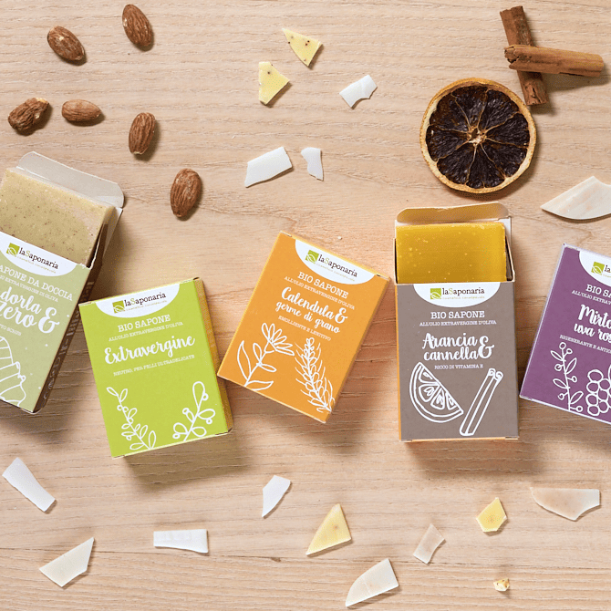 Saponi 1200x1200 Iconcina
