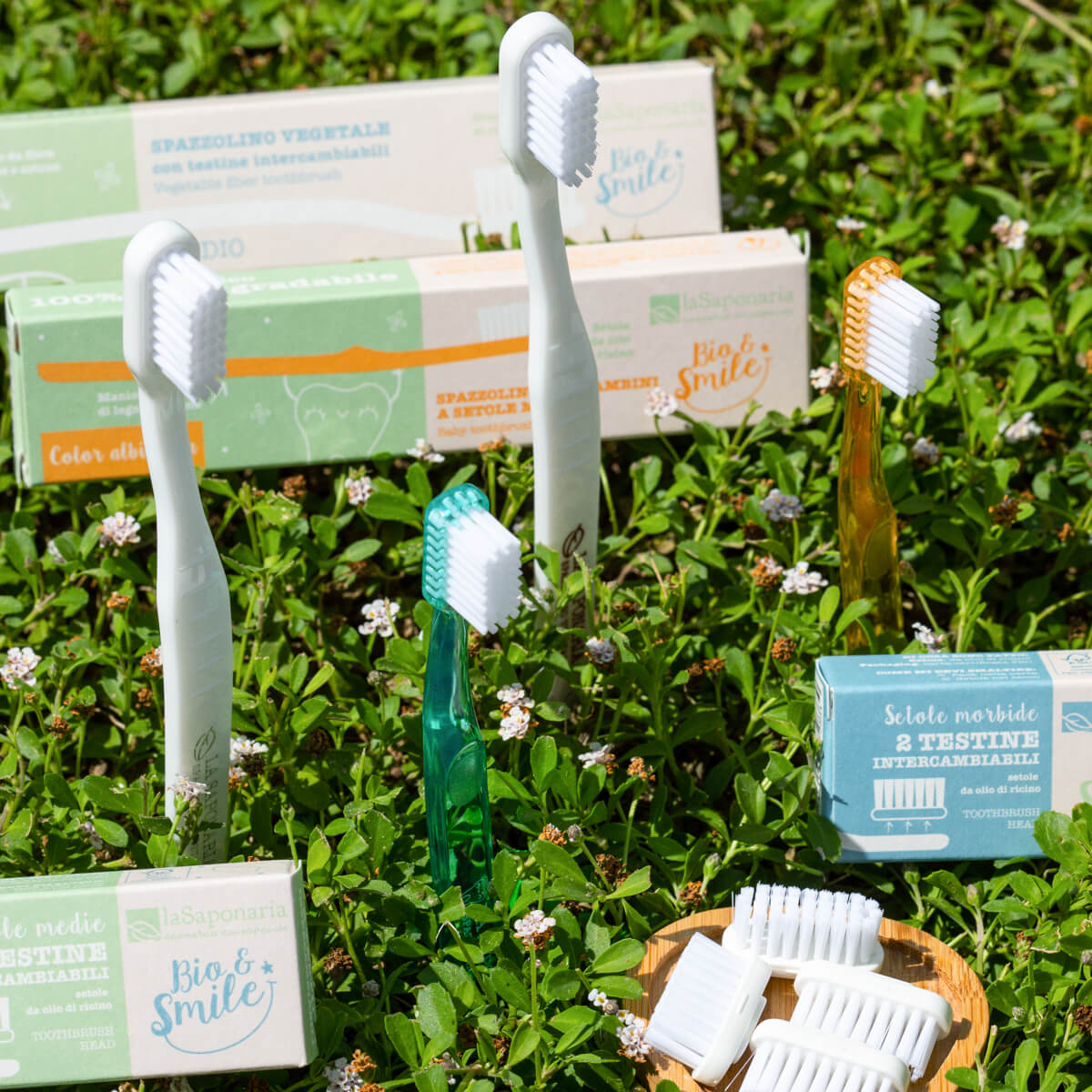 Spazzolini 1200x1200px